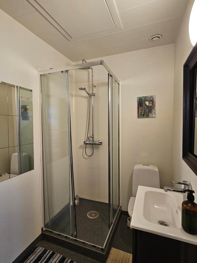 Downtown Guesthouse ريكيافيك المظهر الخارجي الصورة